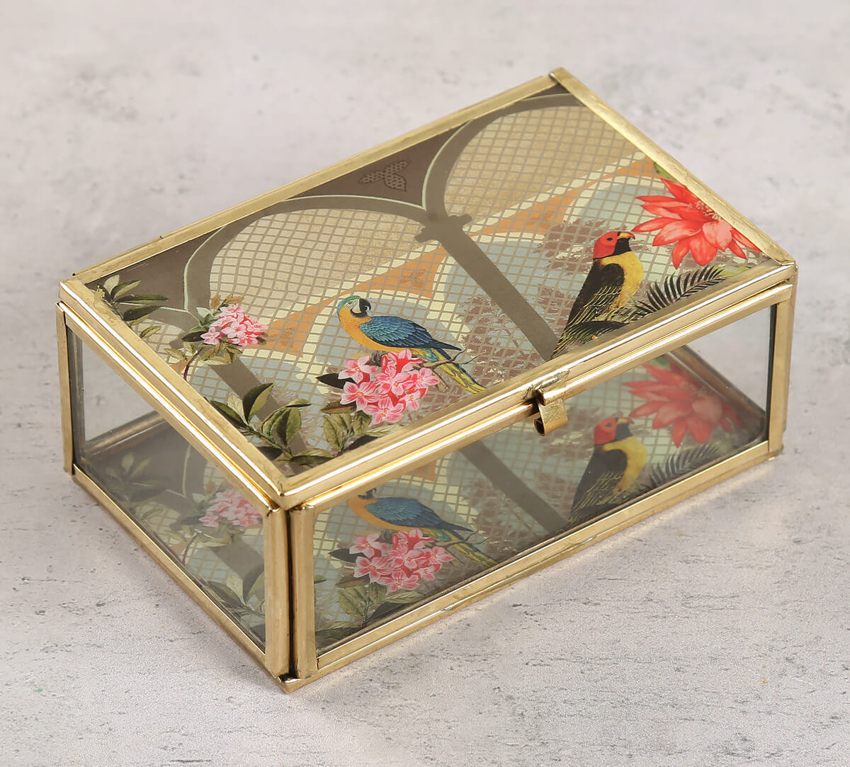 India Circus by Krsnaa Mehta Arches of Enigma Storage Box