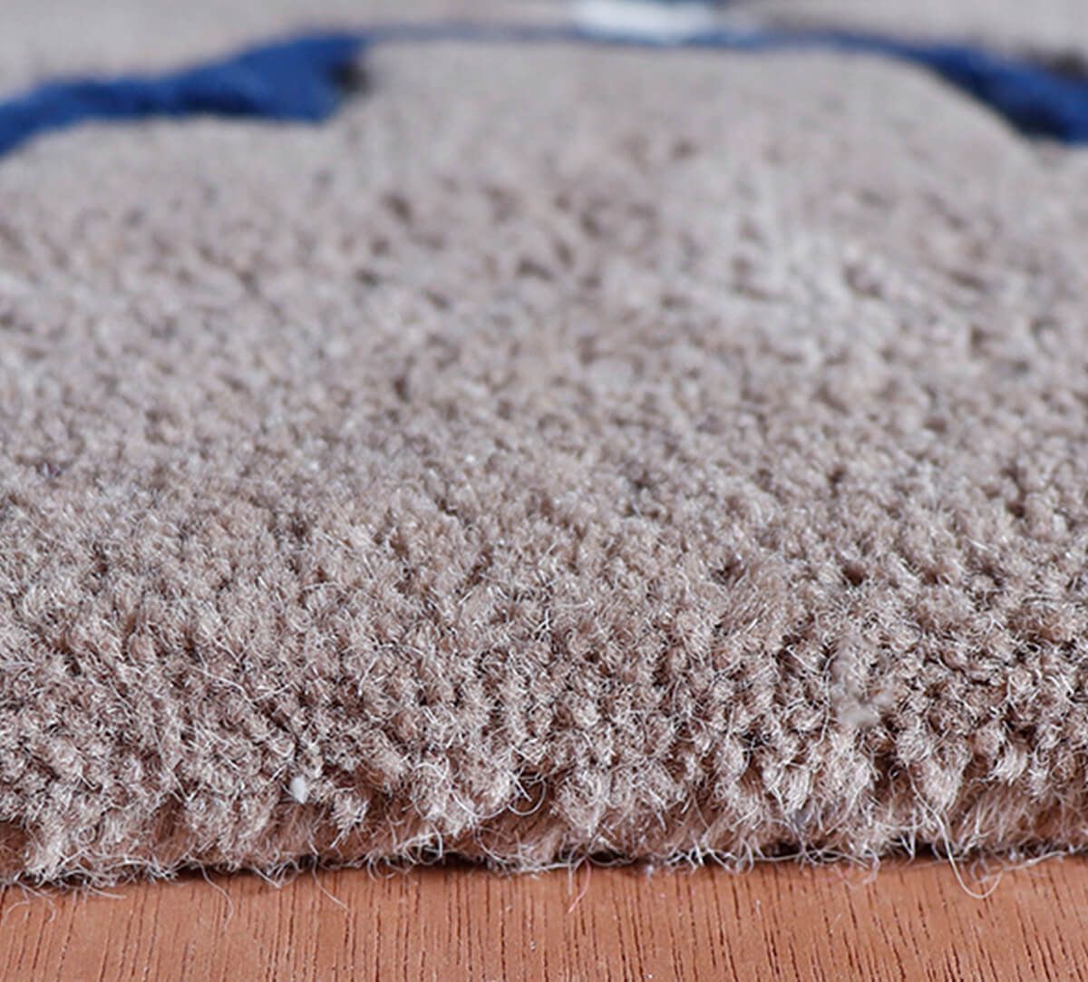 India Circus by Krsnaa Mehta Gray Galore 4ft x 6ft Rug