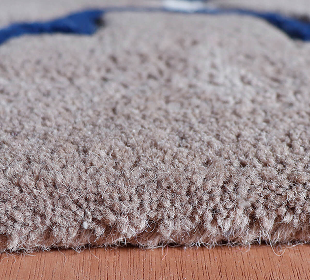 India Circus by Krsnaa Mehta Gray Galore 4ft x 6ft Rug