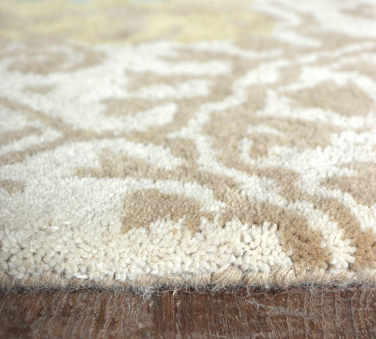 India Circus by Krsnaa Mehta Patches of Culture 4ft x 6ft Rug