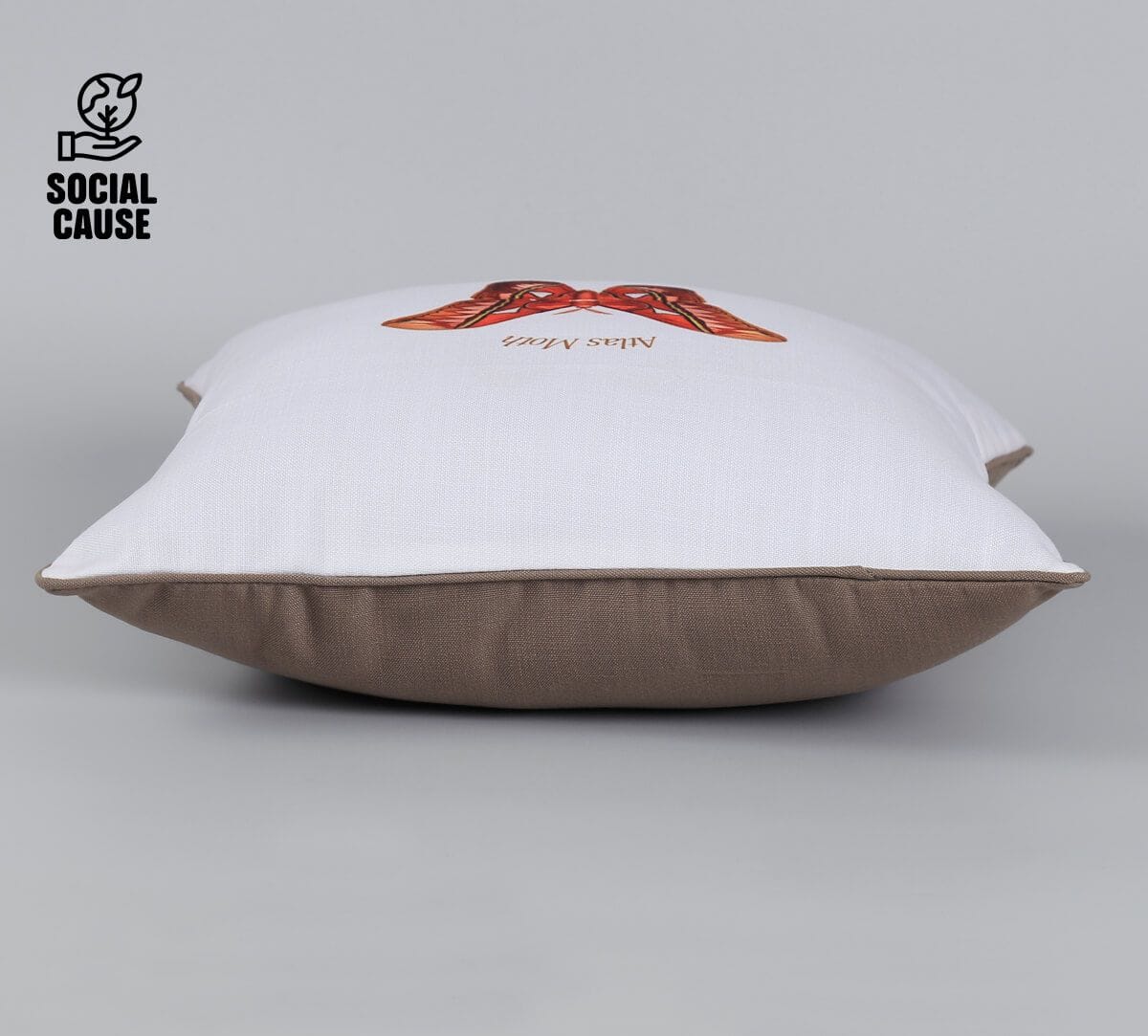 NGCPR Collection-Atlas Moth 16