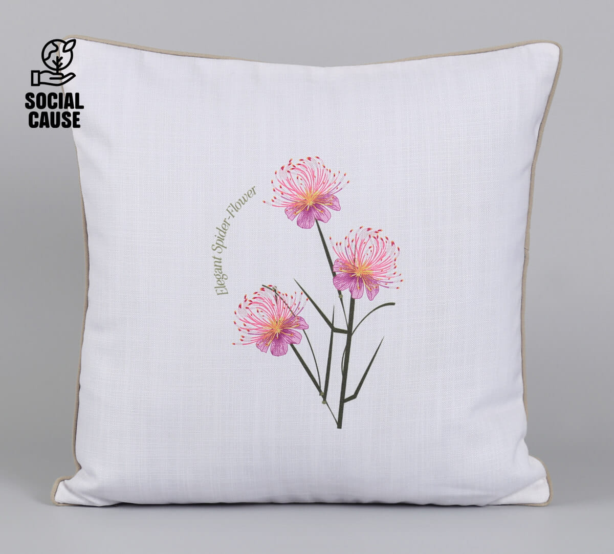 NGCPR Collection-Elegant Spider Flower 16