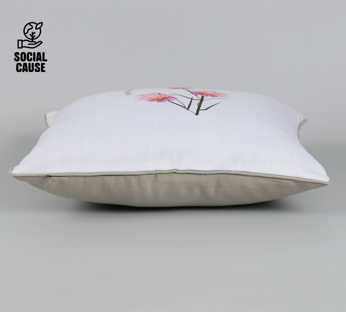 NGCPR Collection-Elegant Spider Flower 16