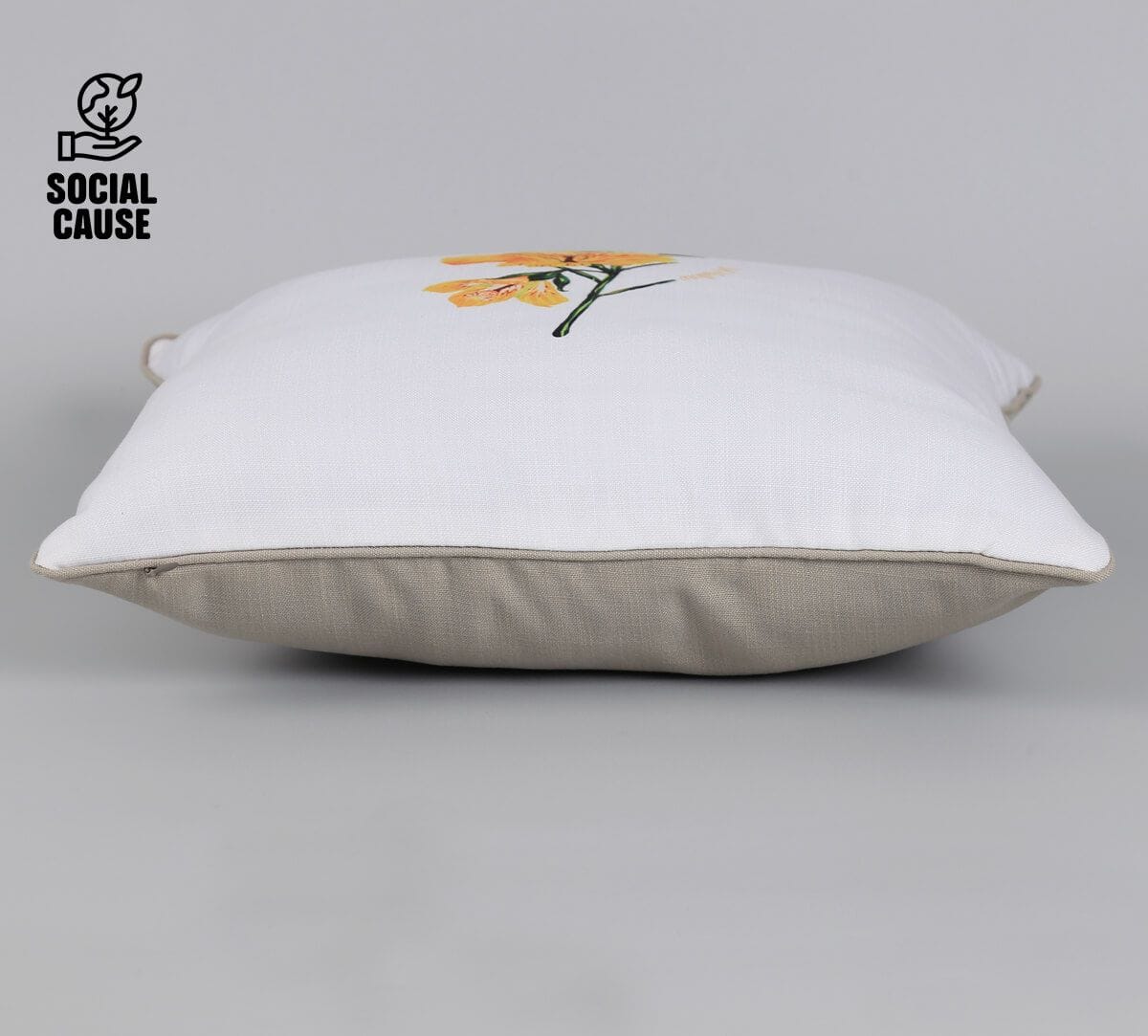 NGCPR Collection-Erinocarpus nimmonii 16