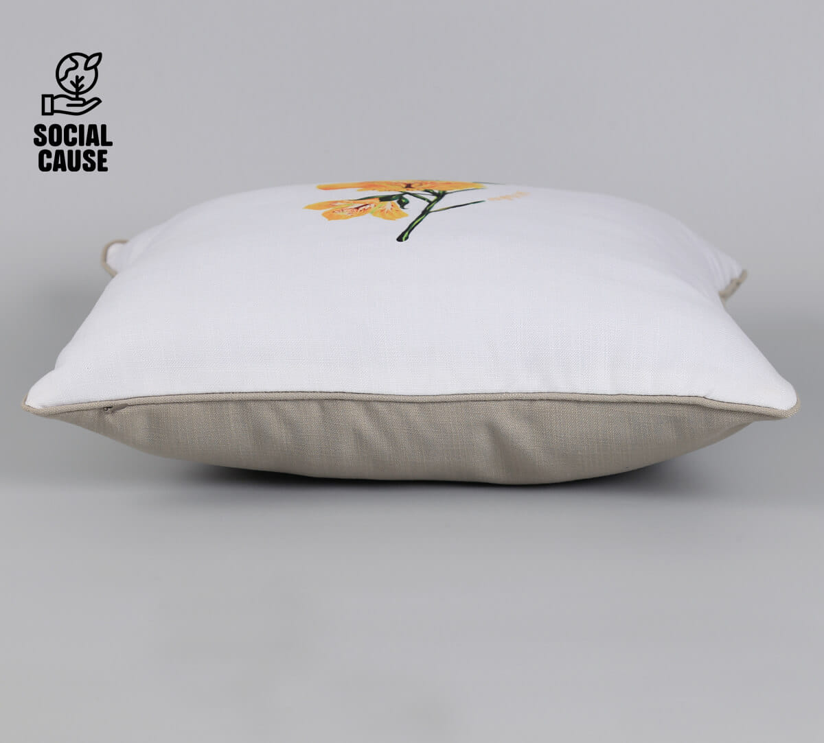 NGCPR Collection-Erinocarpus nimmonii 16