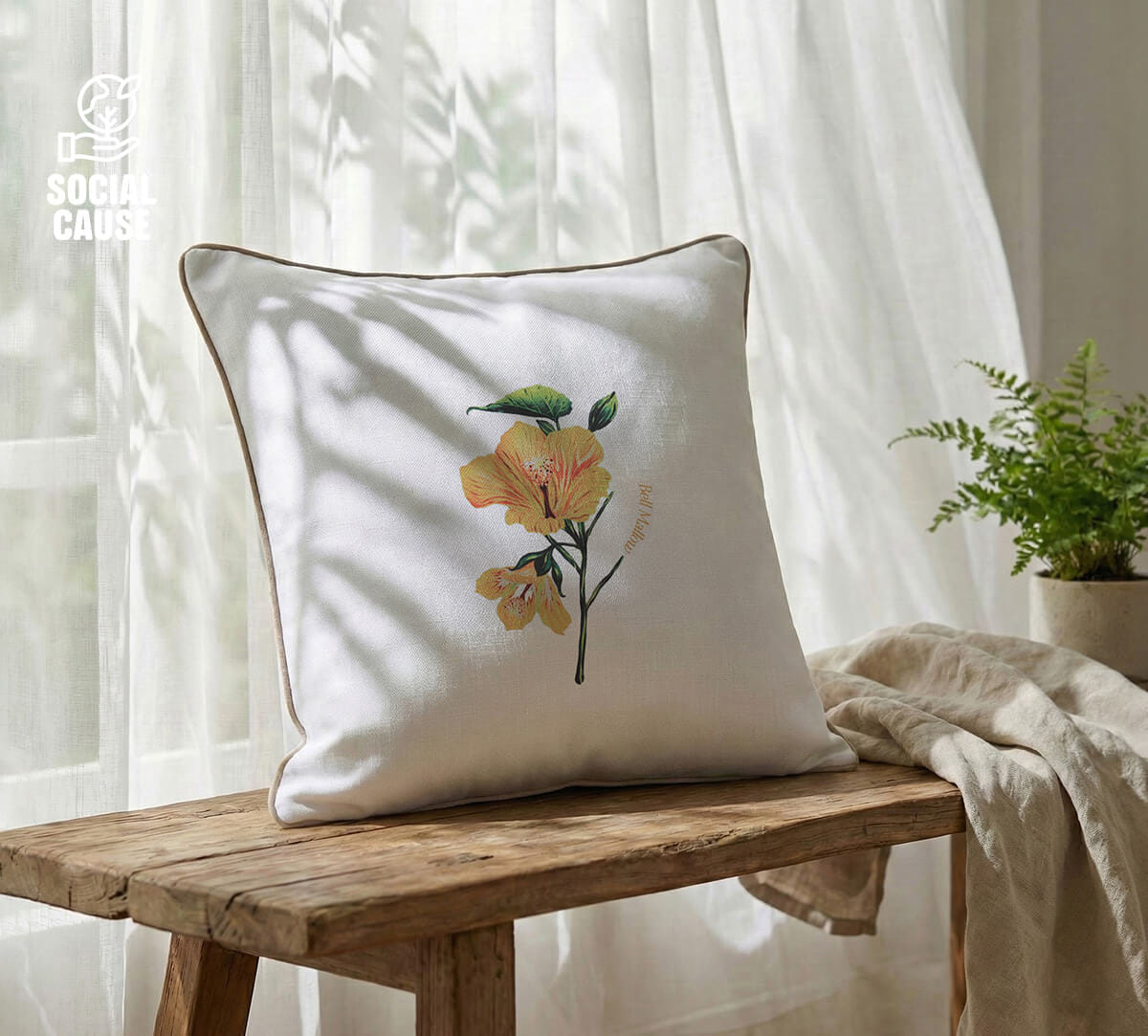 NGCPR Collection-Erinocarpus nimmonii 16