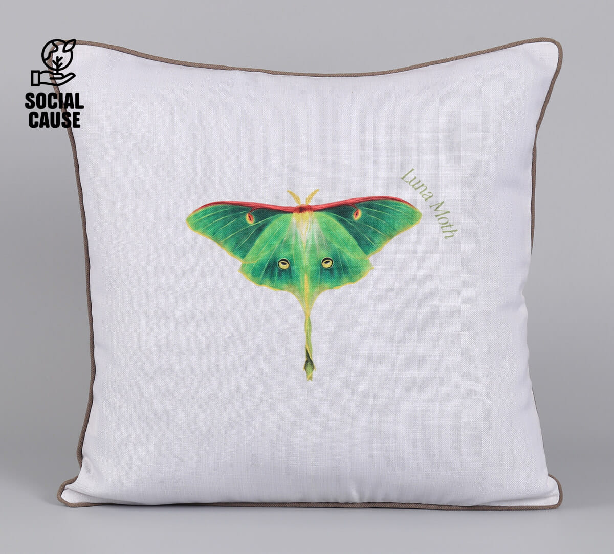 NGCPR Collection-Luna Moth 16