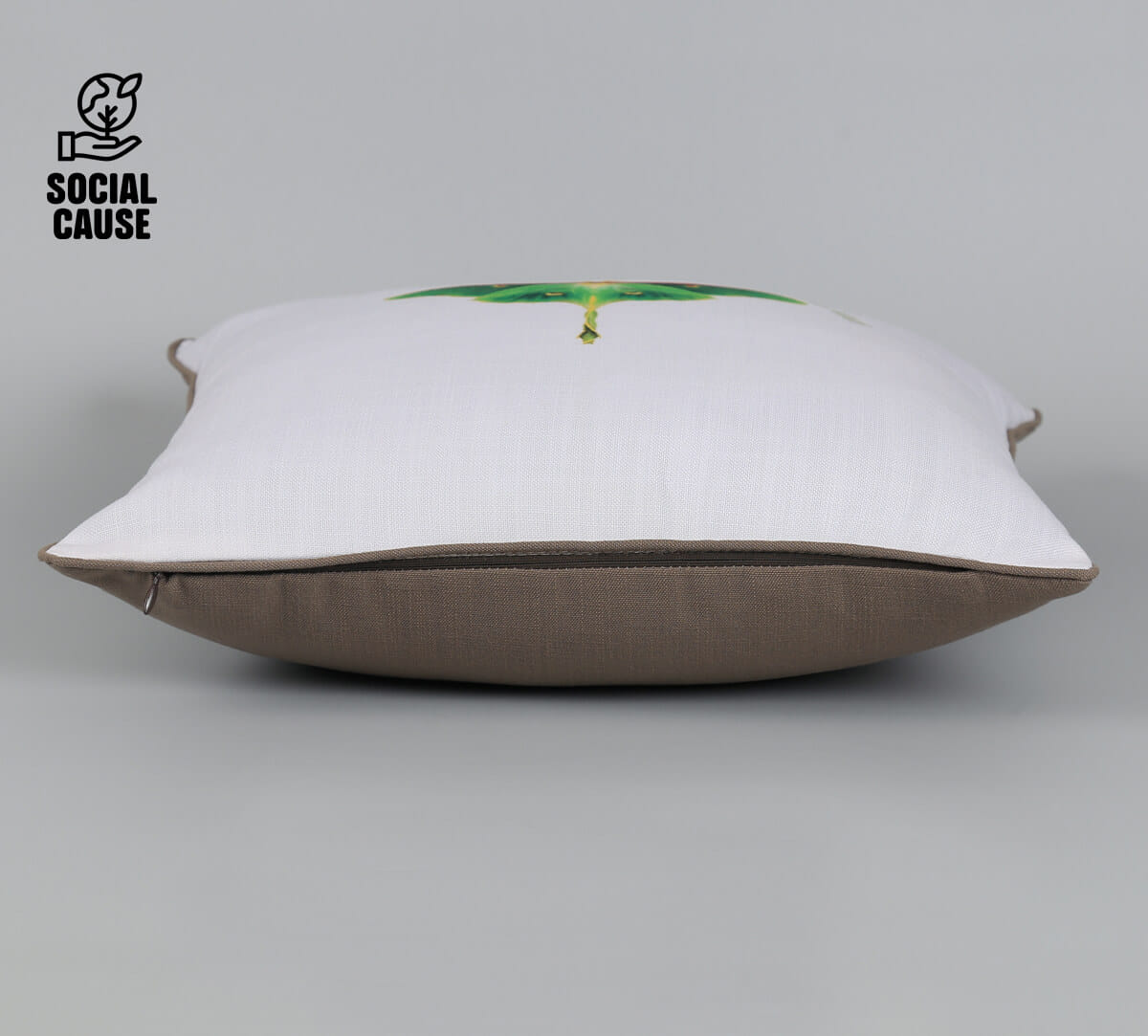 NGCPR Collection-Luna Moth 16