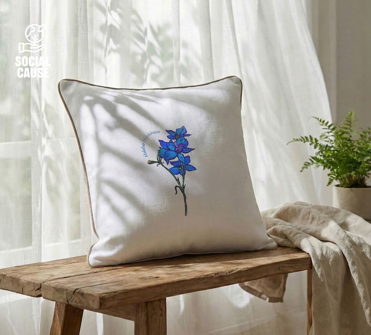 NGCPR Collection-Malabar Delphinium 16