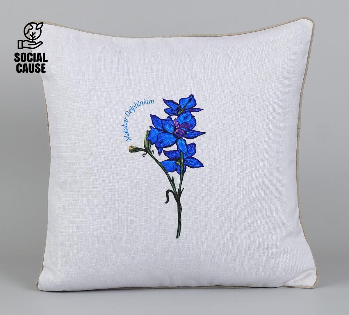 NGCPR Collection-Malabar Delphinium 16
