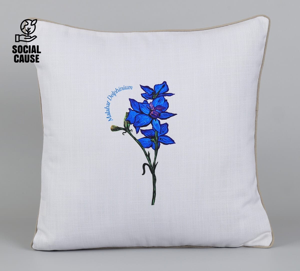 NGCPR Collection-Malabar Delphinium 16