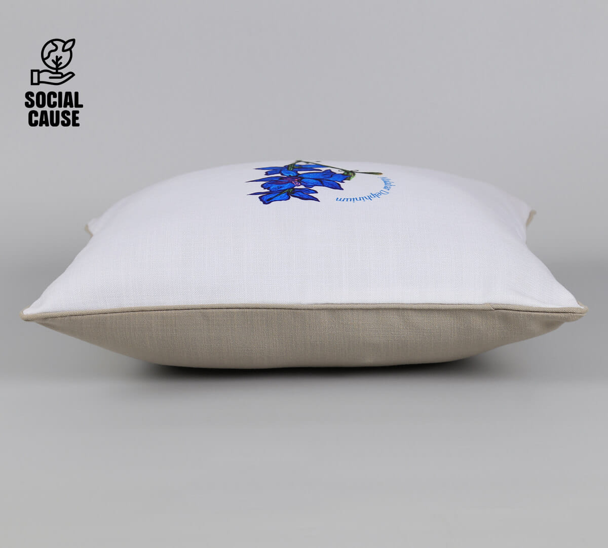 NGCPR Collection-Malabar Delphinium 16