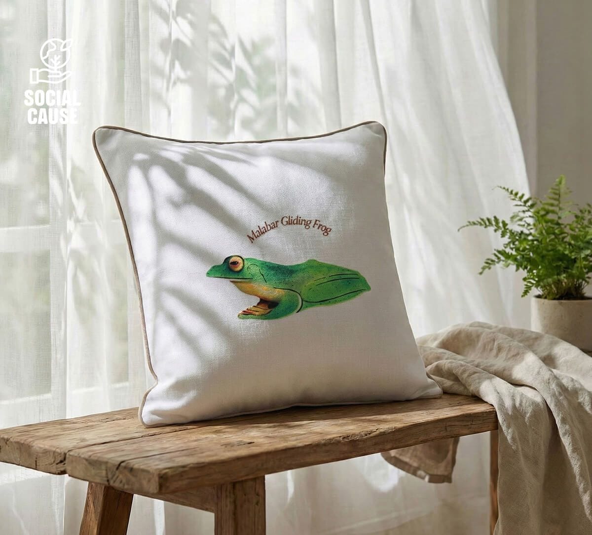 NGCPR Collection-Malabar Gliding Frog 16