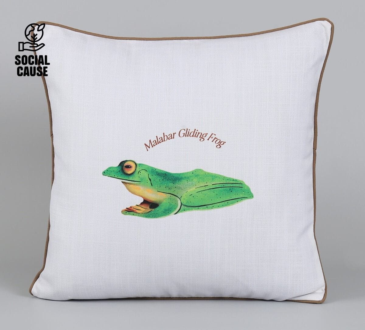 NGCPR Collection-Malabar Gliding Frog 16