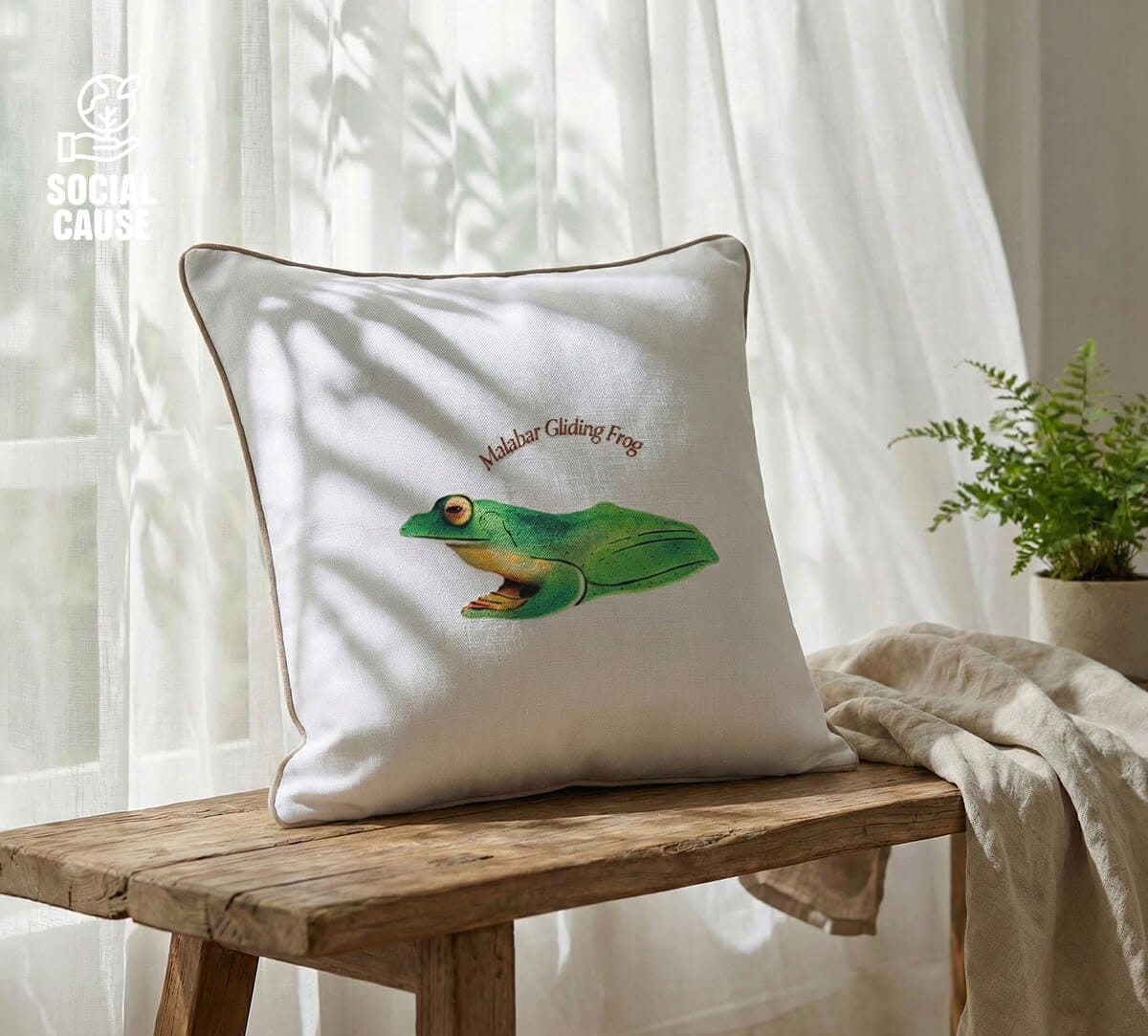 NGCPR Collection-Malabar Gliding Frog 16