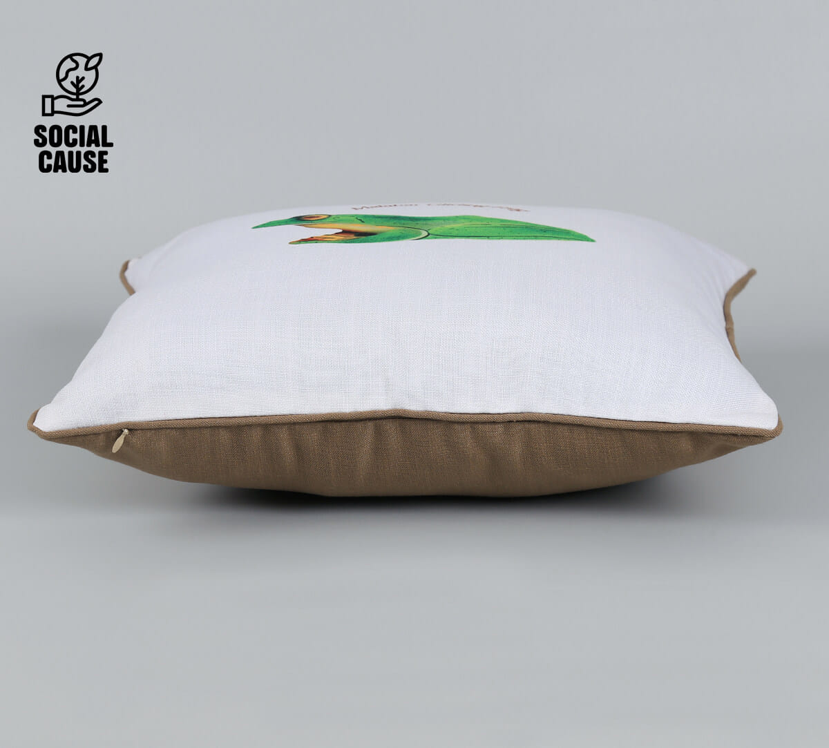 NGCPR Collection-Malabar Gliding Frog 16